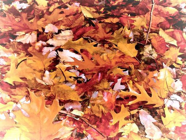 Autumn Poster featuring the photograph Autumn Leaves on the Ground in New Hampshire in Muted Colors by Phyllis Meinke