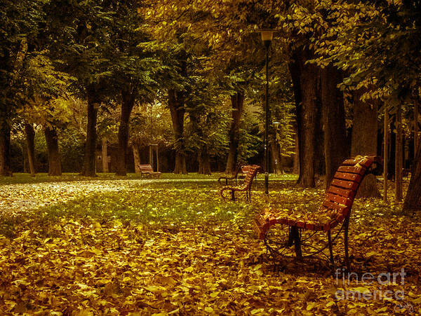 Autumn Park Poster featuring the photograph Autumn Park by Prints of Italy