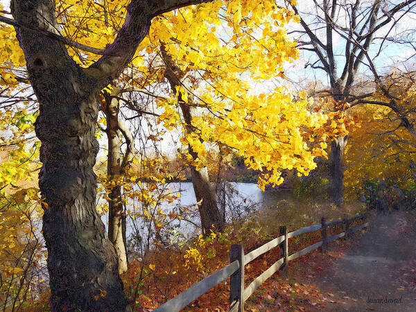 Autumn Poster featuring the photograph Autumn Path in the Park by Susan Savad