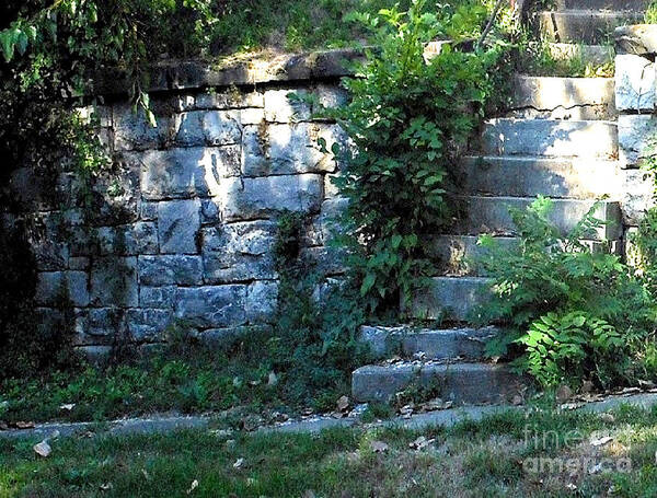 Landscape Poster featuring the photograph Autumn Shadows by Fred Wilson