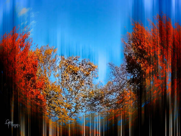 Autumn Poster featuring the photograph Autumn Streak by Glenn Feron