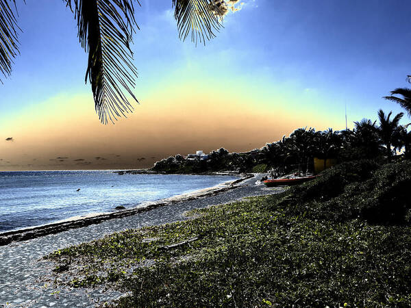 Beach Poster featuring the photograph Bahia Luna Media by Jessica Levant