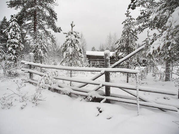 Finland Poster featuring the photograph Barn in Seitseminen winter by Jouko Lehto