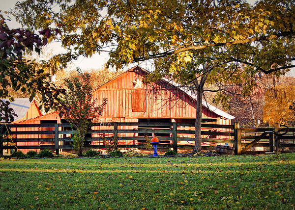 Autumn Poster featuring the photograph Barn Through the Trees by Cricket Hackmann