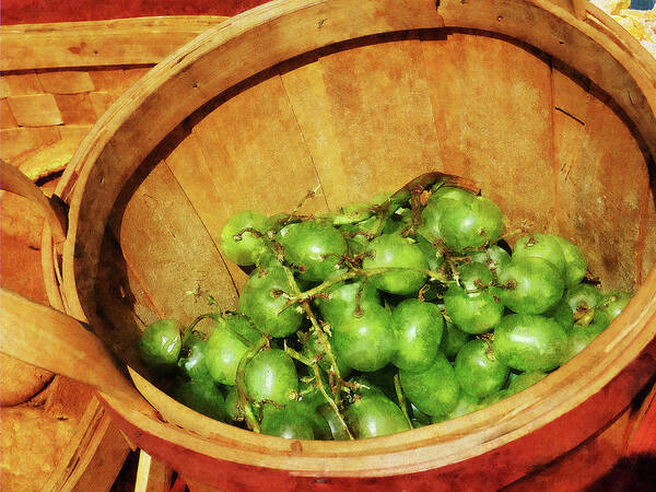 Grapes Poster featuring the photograph Basket of Green Grapes by Susan Savad