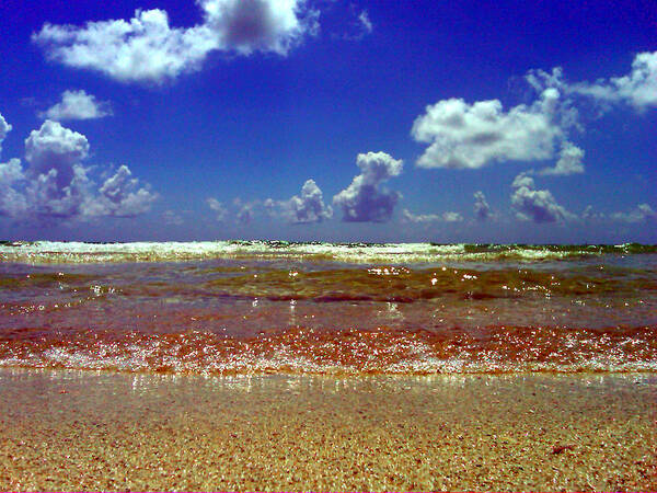 Beach Poster featuring the photograph Beach by Culture Cruxxx