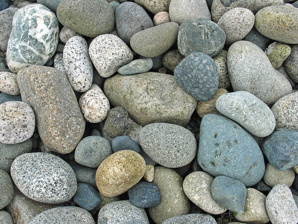 Rocks Print Poster featuring the photograph Beach Pebbles by Gerry Bates