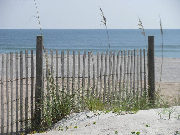 Landscape Poster featuring the photograph Bent Beach Fence by Ellen Meakin