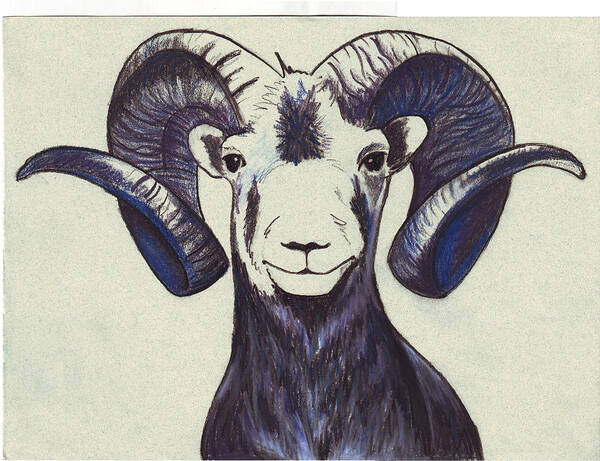 Bighorn Sheep Poster featuring the pastel Bighorn by Becca Engdahl