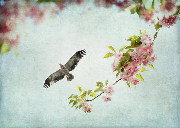 Pastel Poster featuring the photograph Bird and Pink and Green Flowering Branch on Blue by Brooke T Ryan