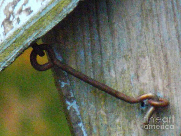 Rust Poster featuring the photograph Bird Feeder Locked Memory by Brenda Brown