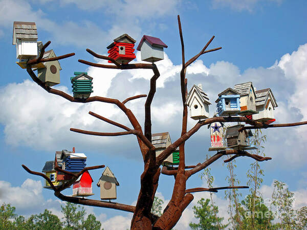 Bird Poster featuring the photograph Bird House Village by Sue Melvin