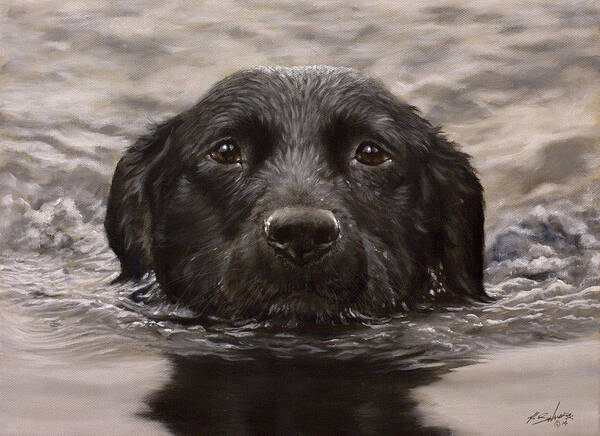 Labrador Poster featuring the painting Black Labrador Portrait II by John Silver