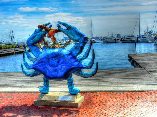Crab Poster featuring the photograph Blue Crab by Debbi Granruth
