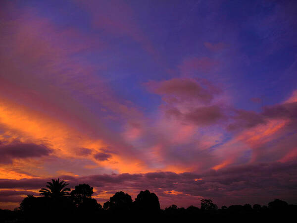 Sunrise Poster featuring the photograph Blue Gold Sunrise by Mark Blauhoefer