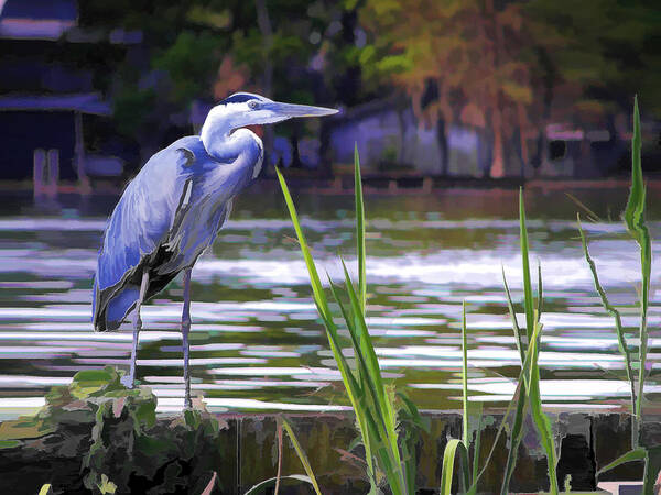 Bird Poster featuring the painting Blue Heron on the Bay by Elaine Plesser