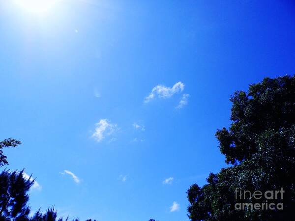 Clouds Poster featuring the photograph Blue Sky And Sunshine by D Hackett