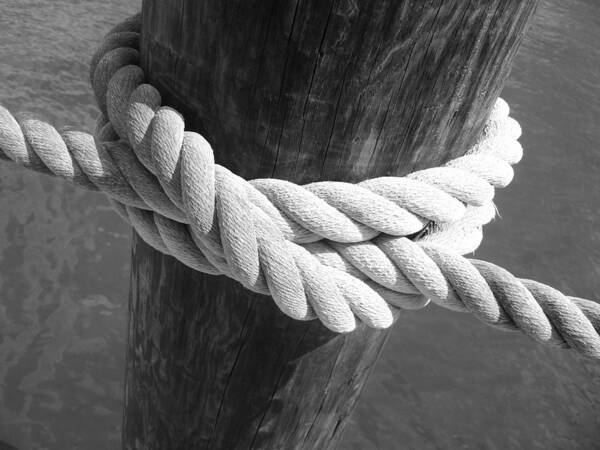 Knot Poster featuring the photograph Boatman's Knot by Ellen Tully