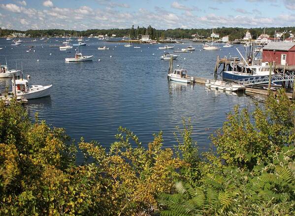 Boothbay Harbor Poster featuring the photograph Boothbay Harbor Vista by Carolyn Jacob