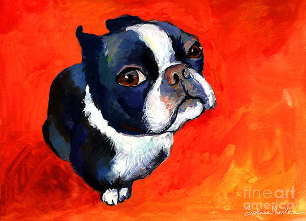 Boston Terrier Prints Poster featuring the painting Boston Terrier dog painting prints by Svetlana Novikova