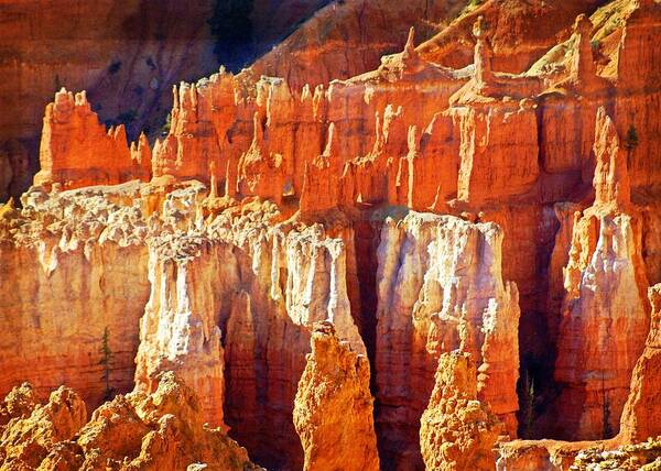 Bryce Canyon Poster featuring the photograph Brilliant Bryce by Marty Koch