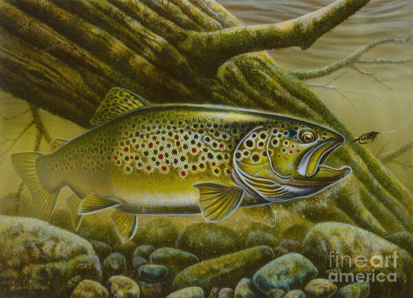 Jon Q Wright Poster featuring the painting Brown Trout Log by JQ Licensing