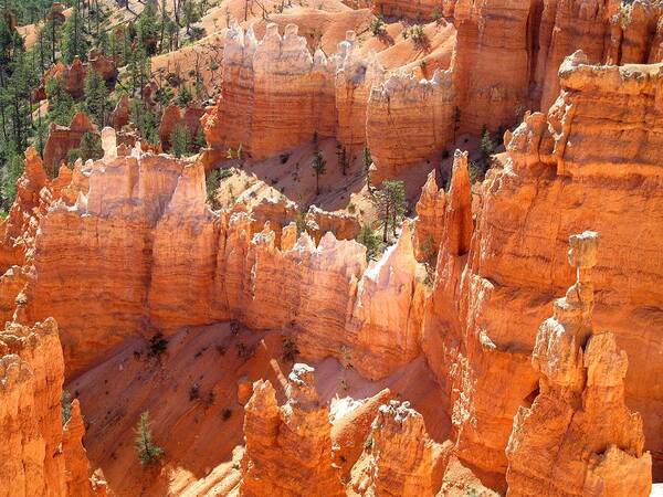 Bryce Canyon Poster featuring the photograph Bryce Canyon 138 by Maria Huntley