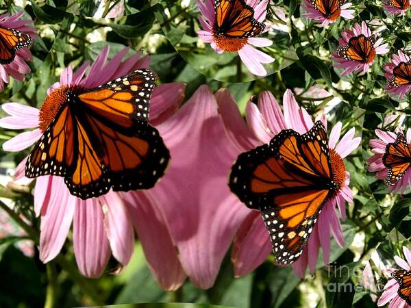 Butterfly Fractal Poster featuring the photograph Butterfly Fractal by Deb Schense