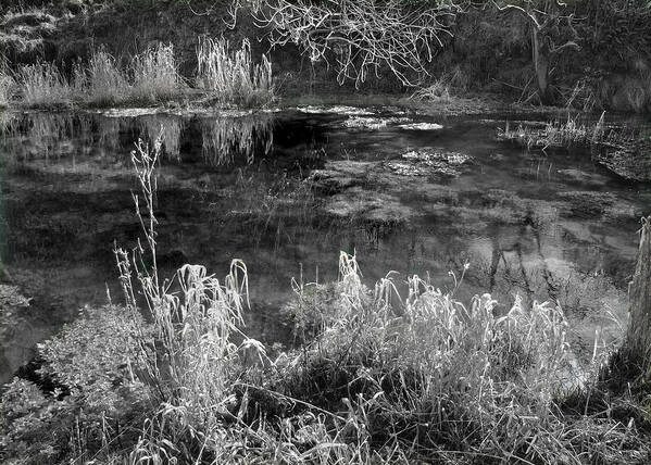 River Poster featuring the photograph By Sheepwash bridge Monyash by Jerry Daniel