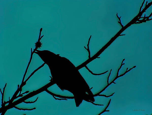 Crow Poster featuring the mixed media Call of the Crow on Aqua 2 by Lesa Fine