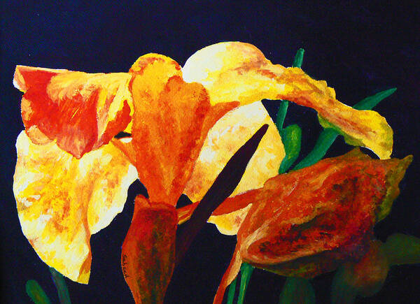 Canna Poster featuring the painting Canna Glow by Margaret Saheed