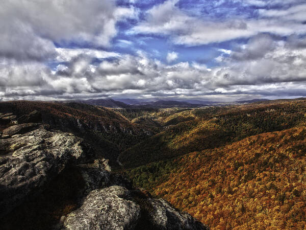 Landscape Poster featuring the photograph Carolina Gold by Kevin Senter