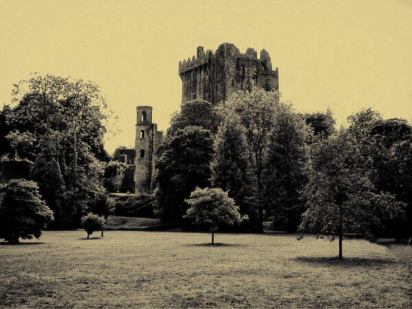 Castle Blarney Ireland Poster featuring the photograph Castle Blarney Ireland by Bill Cannon