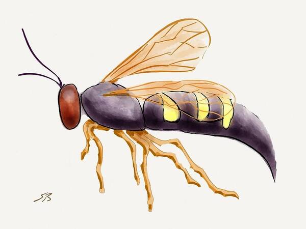 Wasp.insect Poster featuring the digital art Cicada Killer Wasp by Stacy C Bottoms