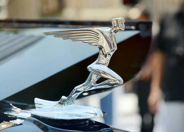 1932 Auburn Hood Ornament Poster featuring the photograph Classic Beauty 6 by Fraida Gutovich