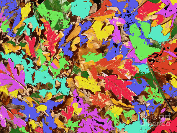 Autumn Poster featuring the photograph Coloured Oak Leaves by M.L.D. Moerings 2009 by Marion Moerings