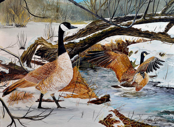 Geese Poster featuring the painting Come On In Its Not to Cold by Alvin Hepler