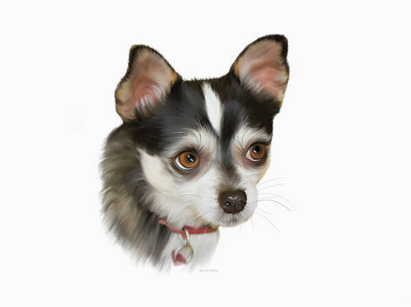 White Background Poster featuring the photograph Computer Generated Portrait Of A Dog by Angela A Stanton