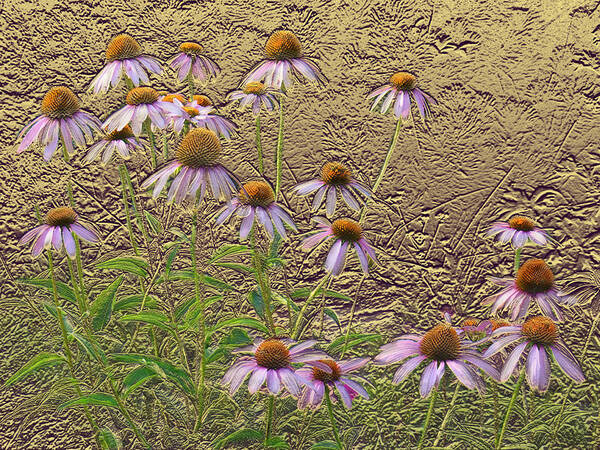 Garden Poster featuring the digital art Cone Flowers by Steve Karol