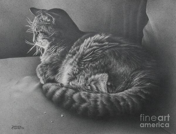 Cat Poster featuring the drawing Contentment by Pamela Clements
