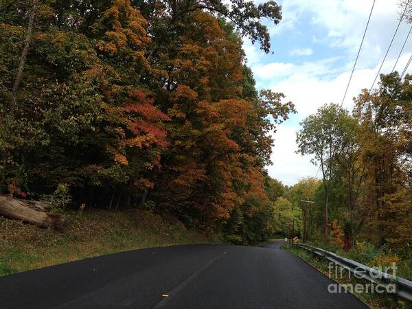 New York Poster featuring the photograph Country Road in Autumn by Cornelia DeDona