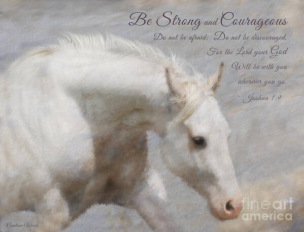 Horse Painting Poster featuring the digital art White Horse Courage by Constance Woods