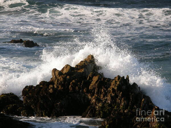 Wave Poster featuring the photograph Crashing Wave by Bev Conover