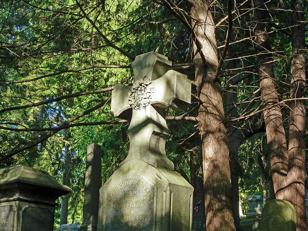 Tree Poster featuring the photograph Cross in The Forest by Felix Concepcion