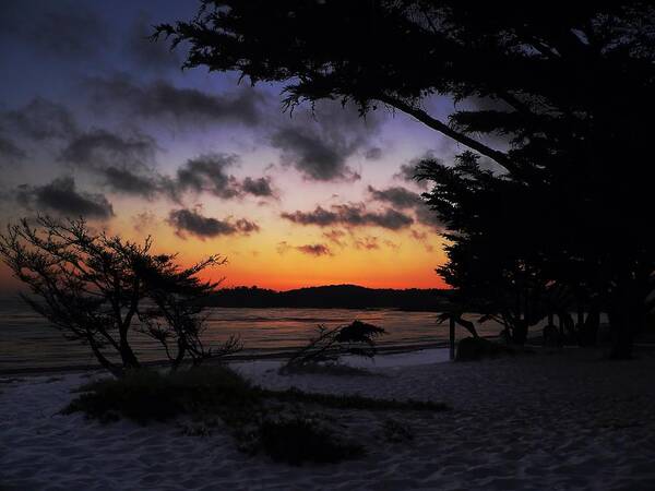 Beach Poster featuring the photograph Cypress Tree Sunset at Carmel by Steve Ondrus