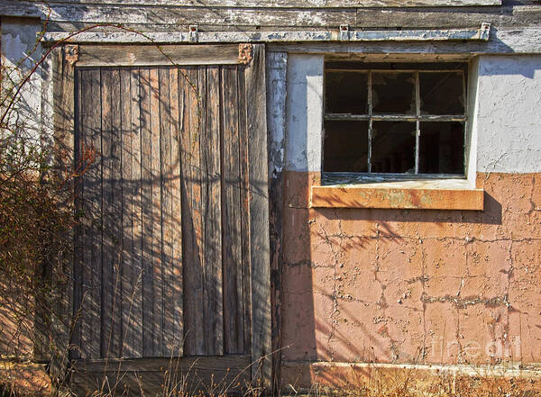 Pink Poster featuring the photograph Dairy Barn Door by Debra Fedchin