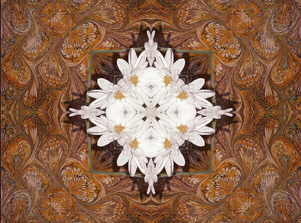 Brown Poster featuring the digital art Daisy Pattern Mandakal - l0103b by Variance Collections
