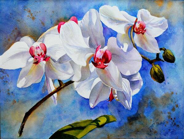 Floral Poster featuring the painting Dancing orchids by Betty M M Wong