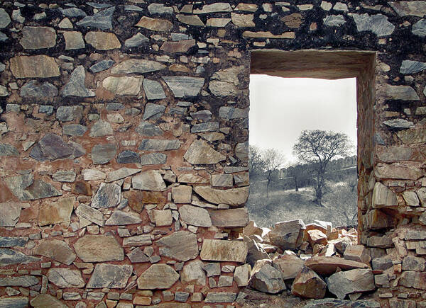 Tree Poster featuring the photograph Delusion by Prakash Ghai