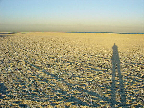 Beach Poster featuring the photograph Desert Like by David Nicholls